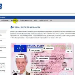 Jak sprawdzić czy zdałem egzamin teoretyczny na prawo jazdy i uniknąć rozczarowania