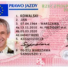 Jak szybko i bezpiecznie sprawdzić prawo jazdy w rejestrze – uniknij problemów
