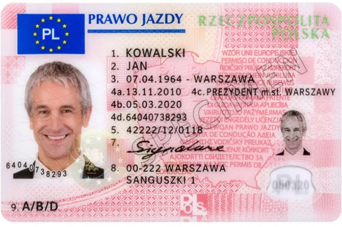 Jak szybko i bezpiecznie sprawdzić prawo jazdy w rejestrze – uniknij problemów