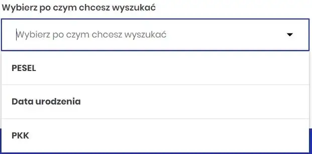 Zdjęcie Jak szybko i bezpiecznie sprawdzić prawo jazdy w rejestrze – uniknij problemów